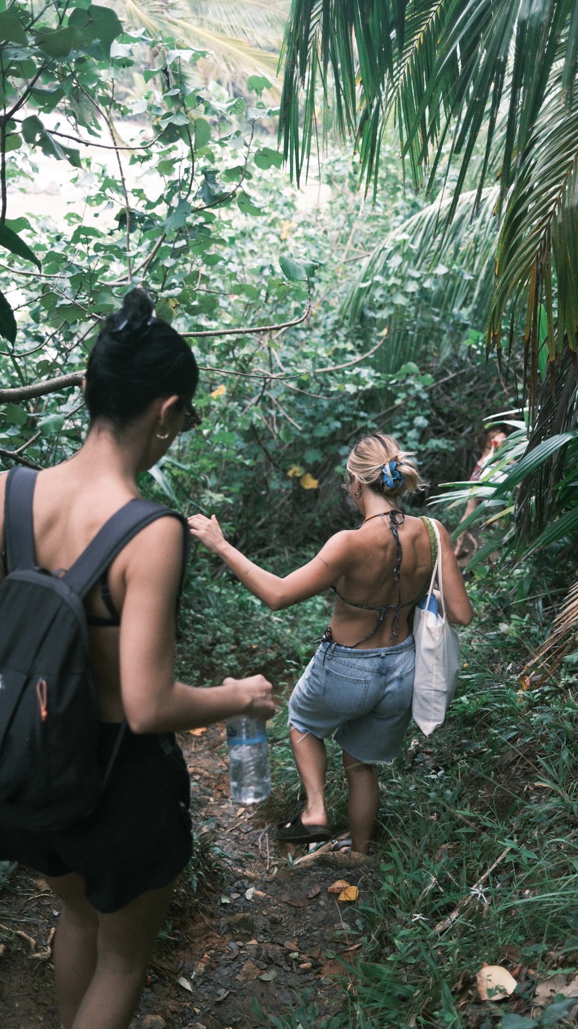Caminhada por uma trilha na mata